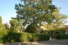 Plaza del pueblo con su hermoso jardín adornando el entorno