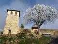 Torre Restaurada 1