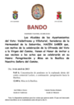 2013-misa-voto