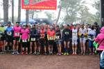 transcandamia-noticia