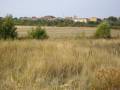 Carbajosa
