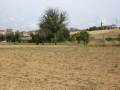 Villavente